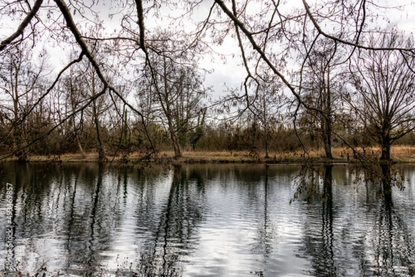 Obraz lac arboré avec reflet dans l'eau