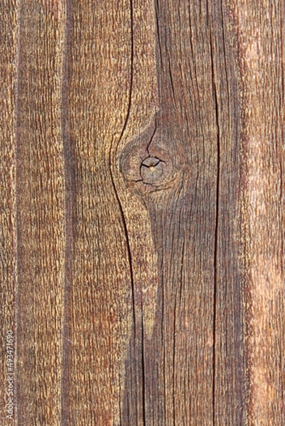 Obraz light wood with interesting grain