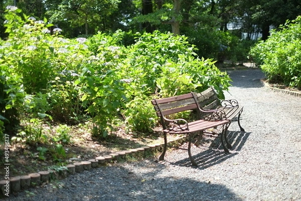 Obraz bench in the park