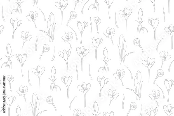 Obraz Seamless pattern of crocuses in one line