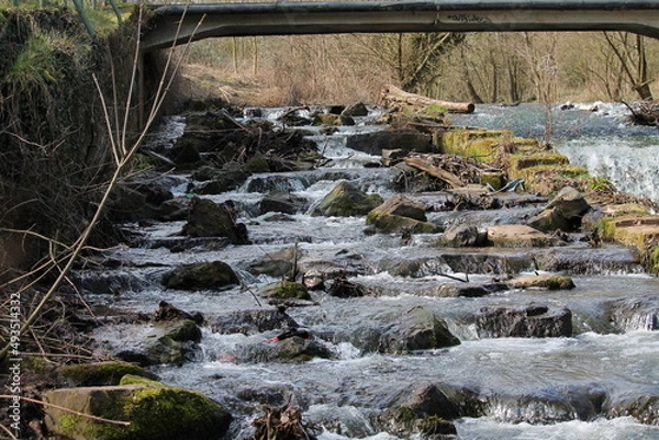 Obraz Ochsenklavier Worms