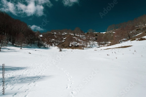 Obraz The White Valley