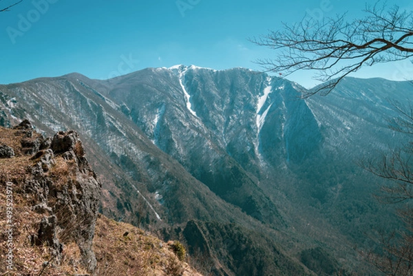 Obraz The White Giant