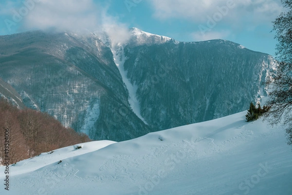 Obraz The White Giant 2