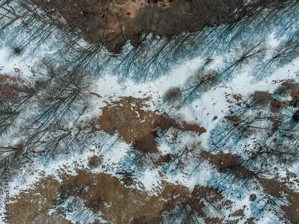 Obraz Snowy Landscape (Aerial View)