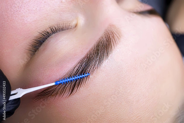 Fototapeta combing the hairs in the eyebrows with a brush after the procedure of coloring and laminating the eyebrows