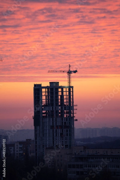 Obraz site at sunset