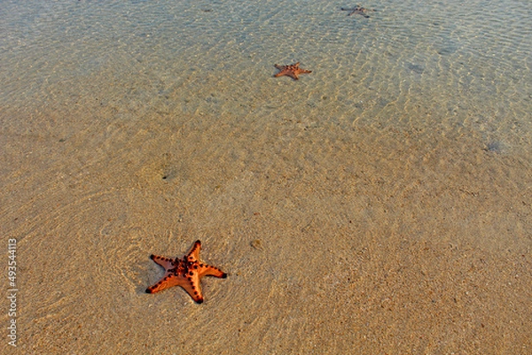 Obraz Three Starfishes on the sand and calm sea with small rippling waves