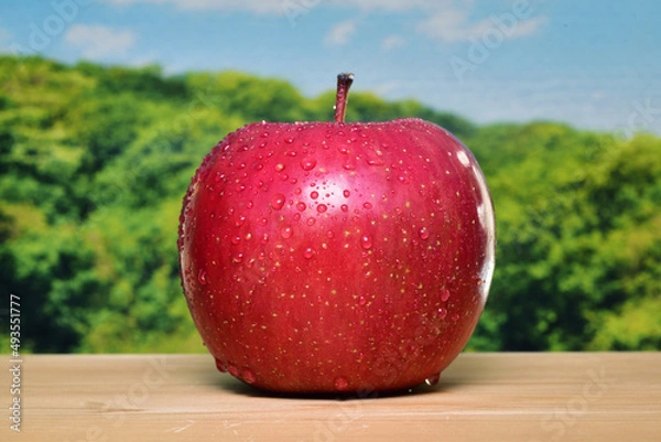 Obraz フレッシュなリンゴと遠景