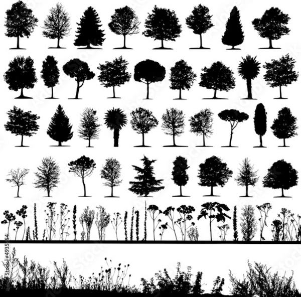 Obraz Drzewa wektorowe