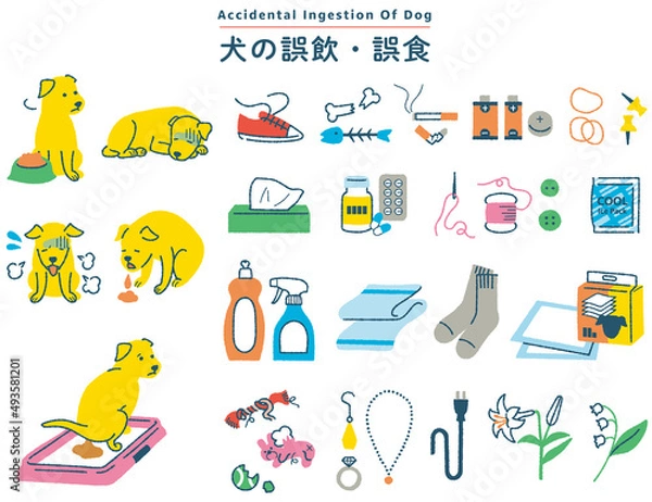 Obraz 犬の誤飲誤食　イラストセット