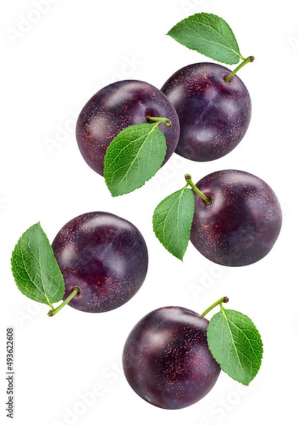 Fototapeta Plum with leaf isolated on white background