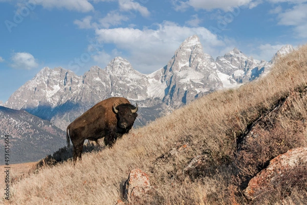 Fototapeta The west in all it's glory