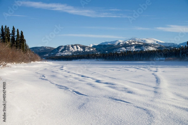 Obraz Yukon river