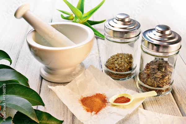 Obraz Officinal herbs