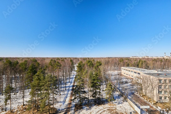 Obraz View from the window on a beautiful park in winter 