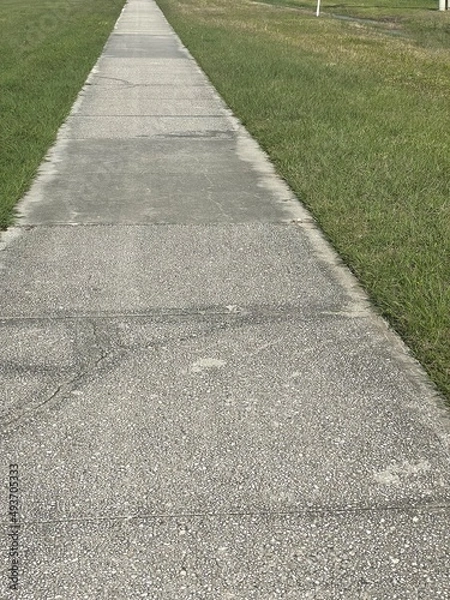 Fototapeta path in the park