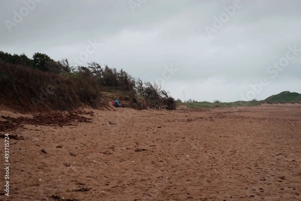 Obraz Along the Red Beach