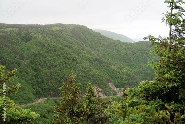 Obraz landscape with trees