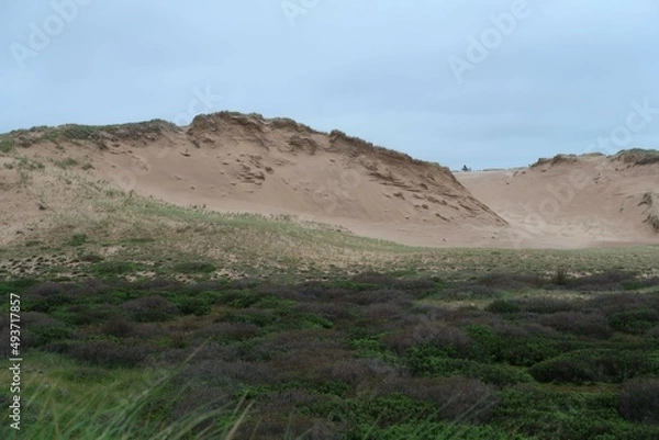 Obraz landscape with sky