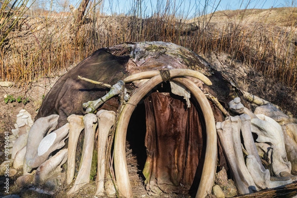 Fototapeta Hut of primitive people, built of bones and skin