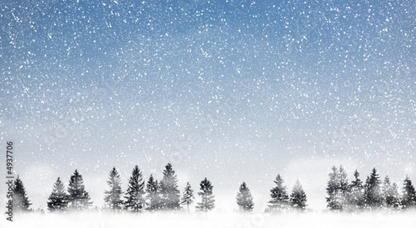 Fototapeta Snowing
