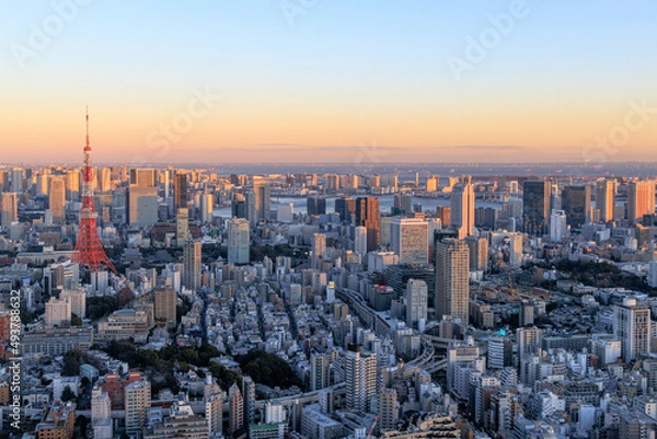 Obraz 東京タワーと東京のビル群の夕景