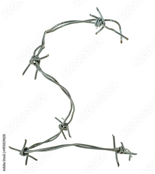 Obraz Security barbed wire isolated on a white background