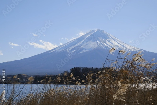 Obraz Mount Fuji