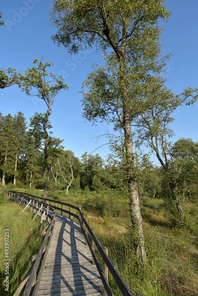 Fototapeta Ortelsbruch