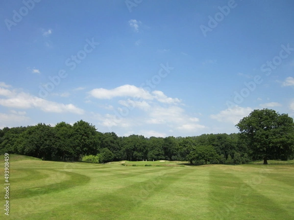 Fototapeta ブリティッシュガーデン