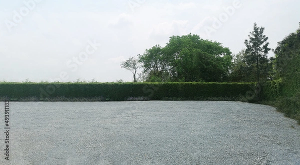 Obraz Parking lot sprinkled with green leaves gravel on tree bush nature background and cloud and sky