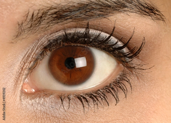 Obraz ładne brązowe oko