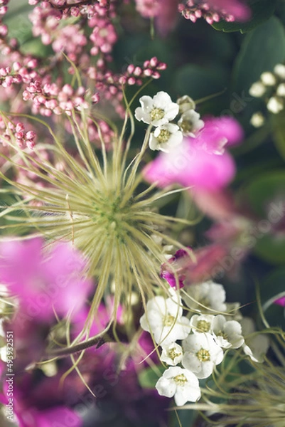 Obraz Blumen Hintergrund