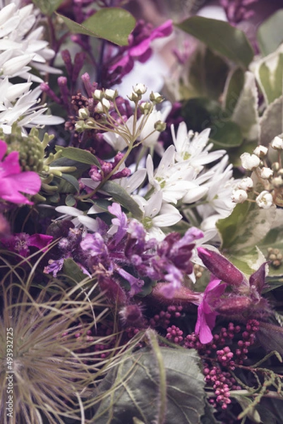 Obraz Blumen Hintergrund