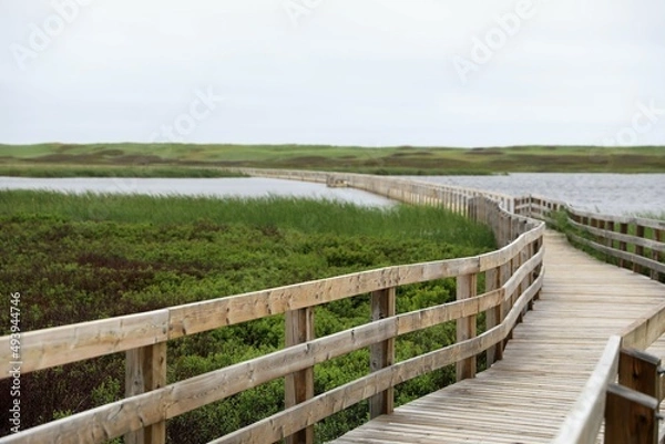 Fototapeta path to the beach