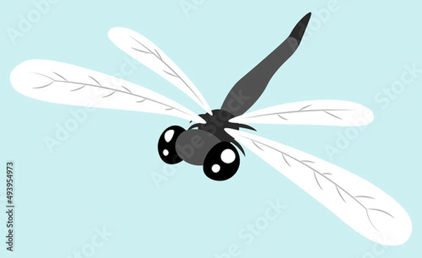 Obraz Dragonfly insect cartoon isolated illustration