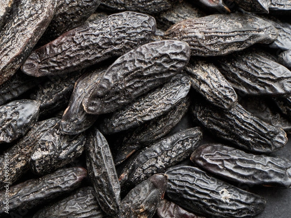 Obraz Tonka whole beans conventional