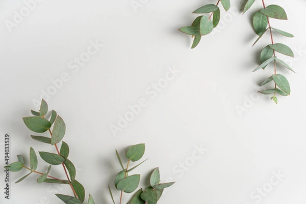 Fototapeta Natural green eucalyptus branches on empty light grey background with copy space. Trendy layout with fresh plant. Eco spring concept. Skin care product advertising. Top view. minimal composition.