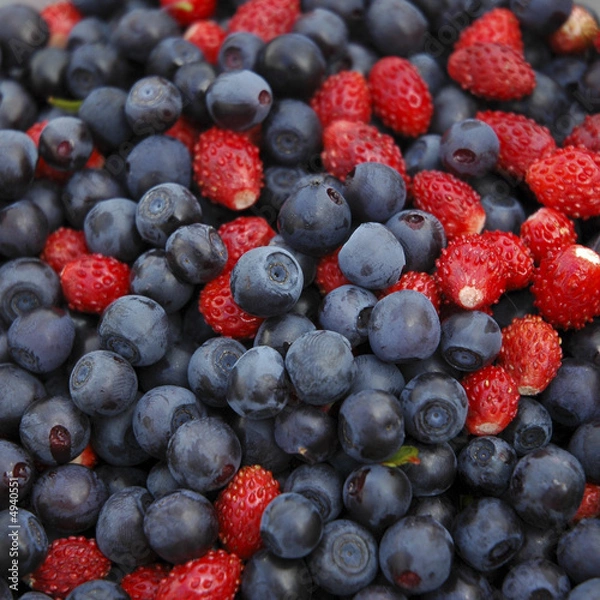 Obraz wild strawberry & bilberry