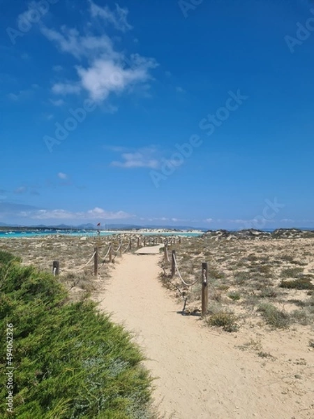 Obraz sand dunes and beach