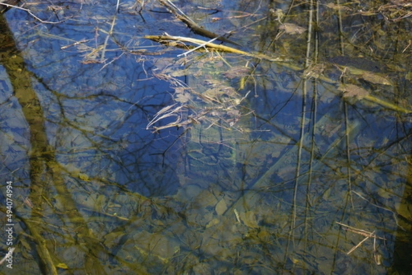 Obraz Lake reflection