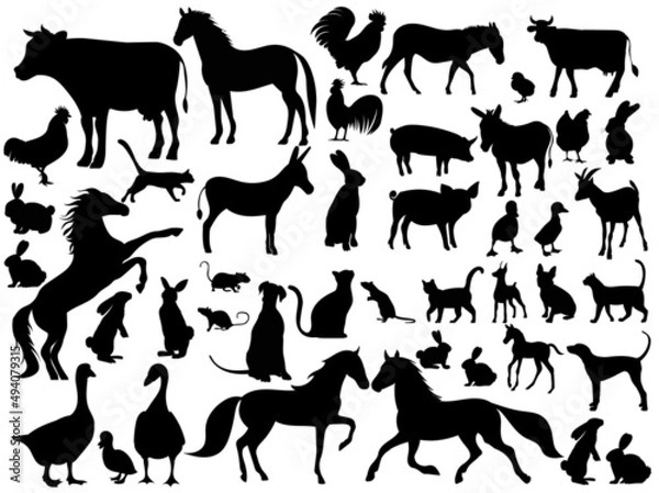 Obraz pets set black silhouette isolated vector