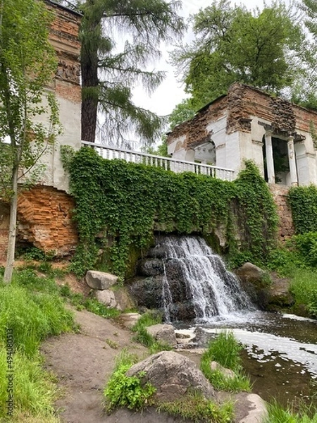 Obraz waterfall in the forest