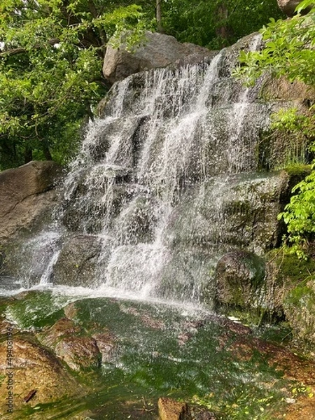 Obraz waterfall in the forest
