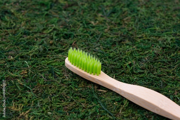 Fototapeta Eco-friendly toothbrush. Toothbrush on a natural background. Moss and grass. Ecology care concept