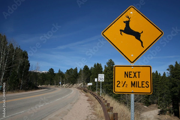 Fototapeta deer warning sign in country road