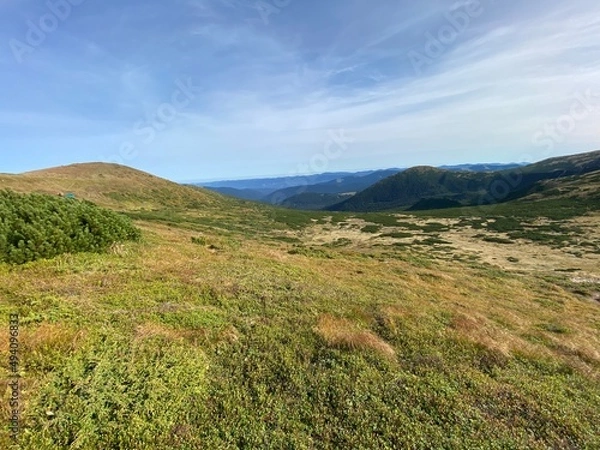 Obraz landscape with sky