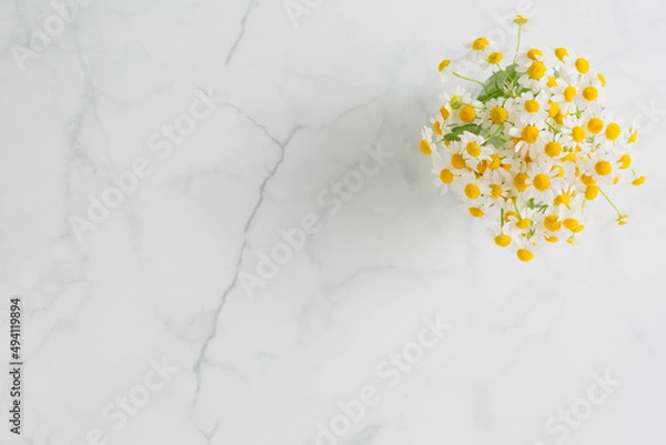 Fototapeta 大理石の背景にマトリカリア