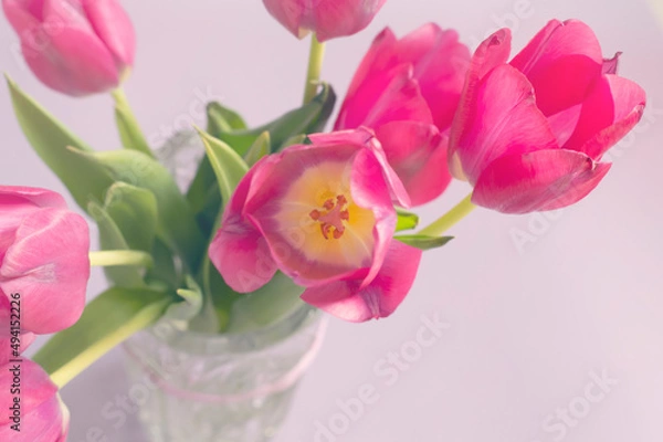 Obraz A bouquet of tulips in the sunlight. Flowers close-up.